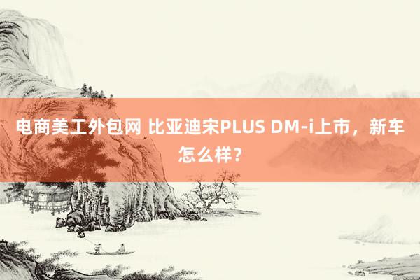 电商美工外包网 比亚迪宋PLUS DM-i上市，新车怎么样？