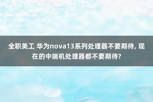 全职美工 华为nova13系列处理器不要期待, 现在的中端机处理器都不要期待?